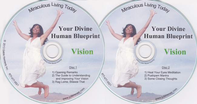 vision_2disks