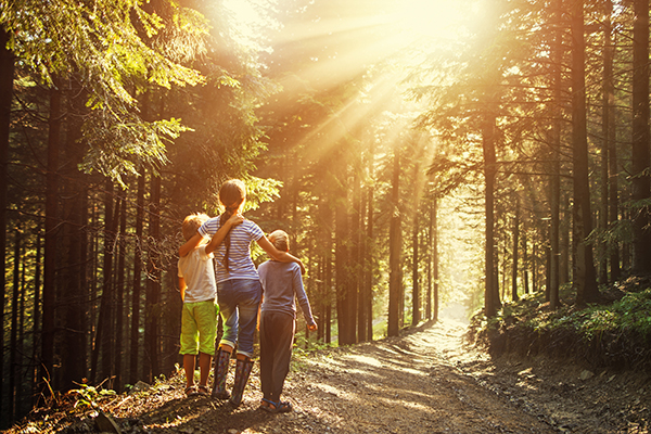 kids watching beautiful sun beams in forest