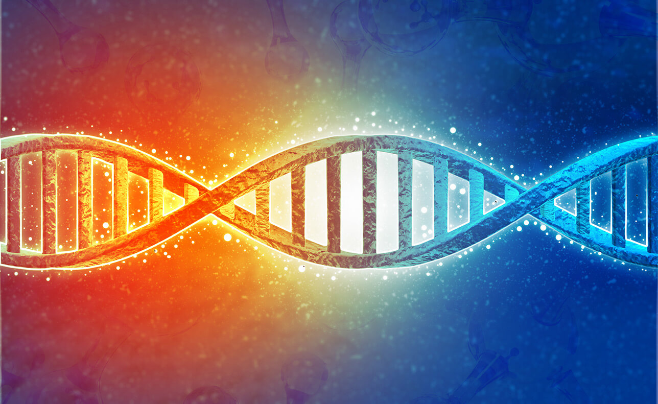 Photo of DNA Structure