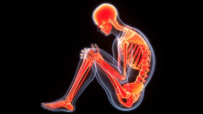 Human Skeleton System Bone Joints Anatomy